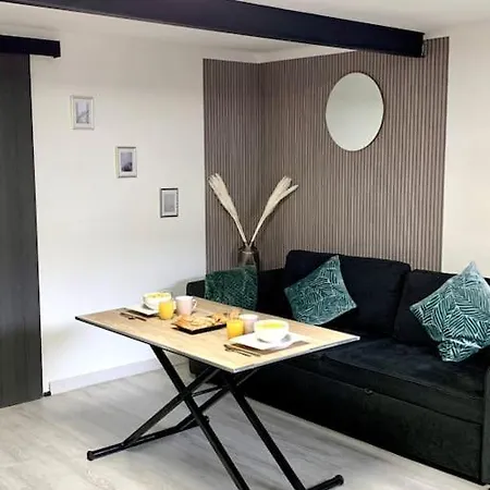 Jolie Et Agreable Appartement Proche Des Plages Et De L Espagne Perpignan Exterior photo
